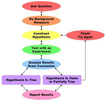 scientific method